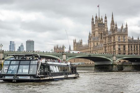 Guided tour of Westminster, river cruise and tickets to The Tower of London