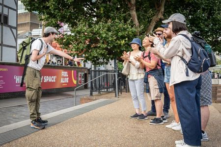 London Top 30 Landmarks Guided Tour