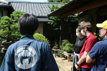 Bonsai Creation Experience for Novices in Tokyo