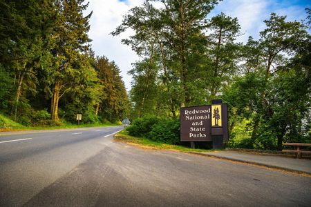 Audio-guided driving tour to Redwood National & State Parks