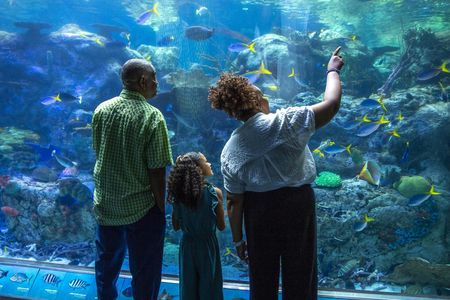 Aquarium of the Pacific Tickets