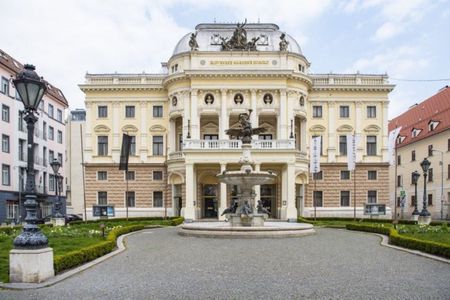 Guided Walking Tour through Bratislava's Landmarks