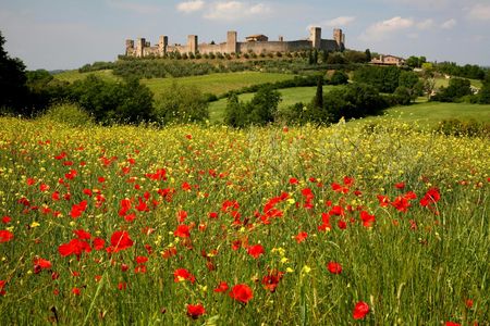 Hike from Siena to Monteriggioni with Wine Tasting