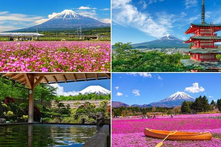Mt. Fuji Twin Lakes Scenic, Kawaguchiko, Yamanaka, and Onsen 1-Day Tour