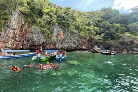 Langkawi mangrove river cruise and snorkeling experience