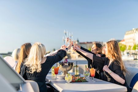 Private YachtBoat PONTOON All-You-Can-Drink Cruise in Prague