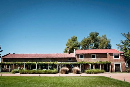 Guided Tour with Wine Tasting Experience at Bouza Winery