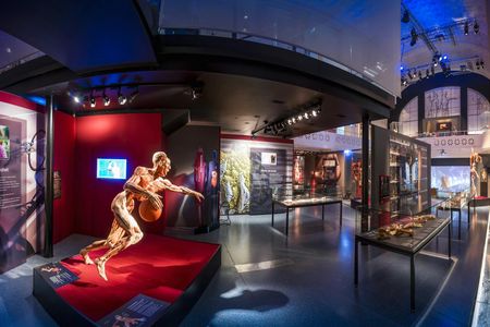 BODY WORLDS Heidelberg entrance tickets
