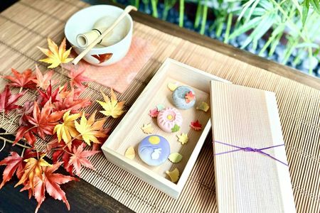 Tokyo Nerikiri Wagashi-Making with Tea Ceremony