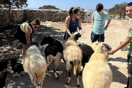 Naxos E-bike Tour with Cooking Class