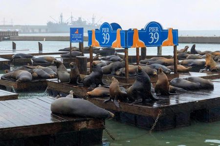 Fisherman’s Wharf Guided Tour with Exploratorium Ticket