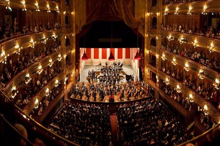 Buenos Aires walking tour with visit to Colon Theatre and MALBA Museum