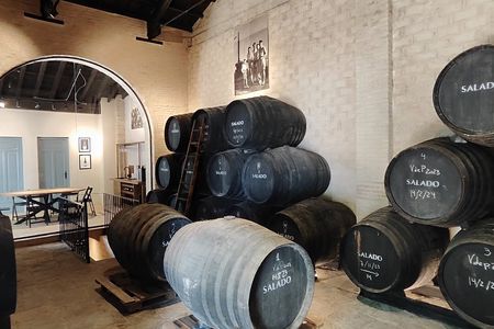 Half day trip to a winery from Seville