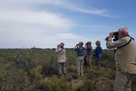 Full-day Excursion to Peninsula Valdes from Puerto Madryn
