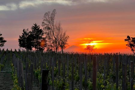 Sunset Experience on Lipari Island with Vineyard Picnic