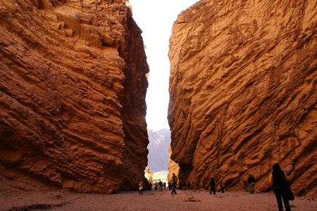 Cafayate full-day excursion with wine tasting from Salta