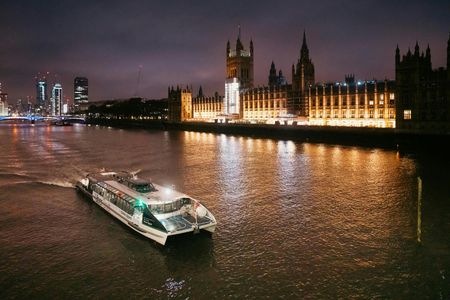 2-Day Hop-On Hop-Off Thames River Cruise