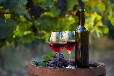 Bodega Viña Real Guided Tour with Wine and Cheese Tasting