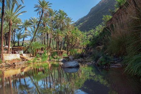 Half-Day Economic Tour of Paradise Valley from Agadir and Taghazout