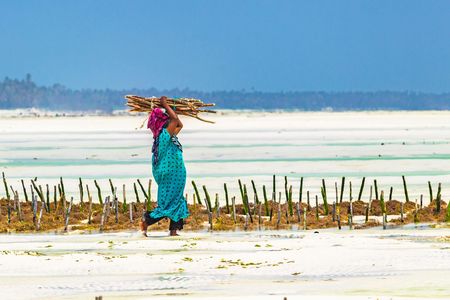 Zanzibar people and culture private tour