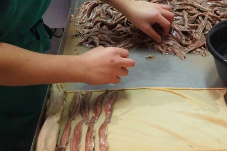 Half-Day Santoña and Anchovy Cannery Guided Tour with Boat Trip
