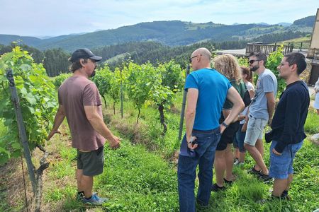 Cantabria and Valles Pasiegos guided tour with tasting from Santander