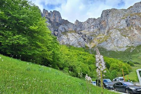 Picos and Potes guided tour from Santander