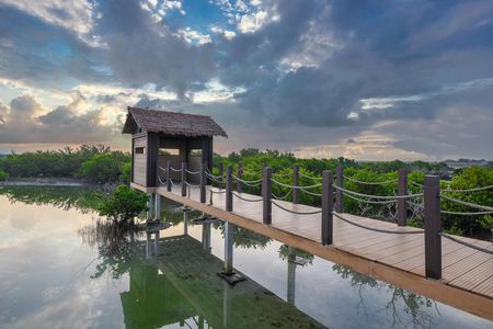 Mangrove 1-Hour Private Kayaking in Al Thakira Reserve