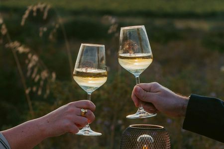 Vineyard with Wine Tasting at Sunset from Castelsardo