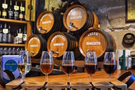 Jerez historic centre tour and tasting of 2 sherry wines