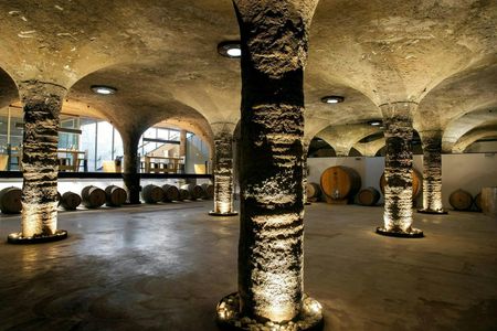 Guided Vineyard Tour and Wine Tasting on Lipari Island