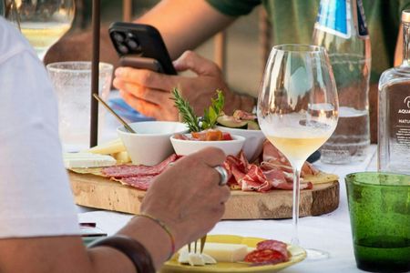 Vineyard Guided Tour and 7 Wine Tasting in Palau