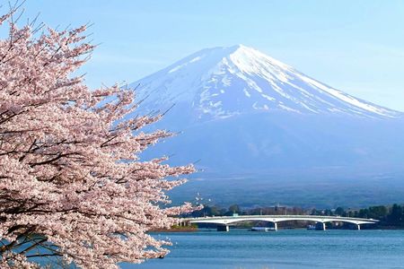 Day Trip to Mount Fuji with Scenic Photo Opportunities from Tokyo