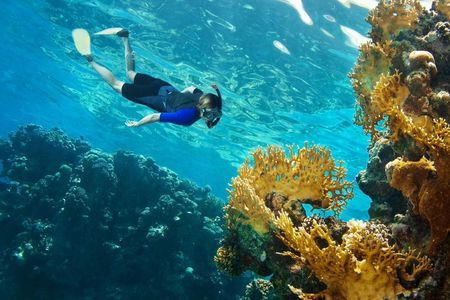 Phi Phi Island Sunset Tour by Speedboat from Krabi
