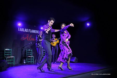 Flamenco Show at Tablao Flamenco Alma