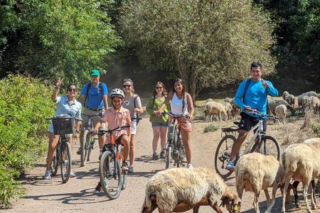Appian Way and Catacombs E-Bike Private Tour with Transfer