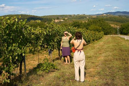 Small-Group Winery Tour and Expert-Led Masterclass from Florence