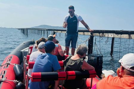 Picpoul de Pinet by minibus with boat tour and oysters tasting
