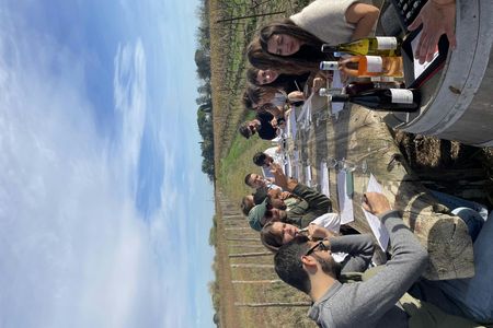 Sable de Camargue full-day minibus tour with lunch and tastings