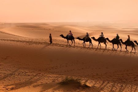 Paradise Valley Half-Day Trip from Agadir with Camel Ride and Lunch