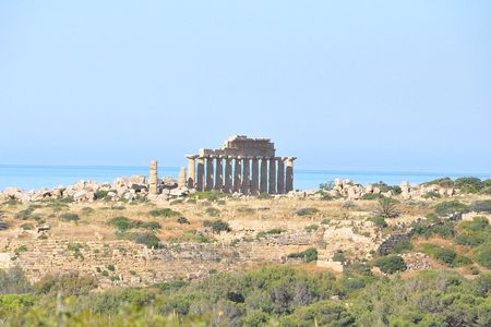 Selinunte Archaeological Park guided tour