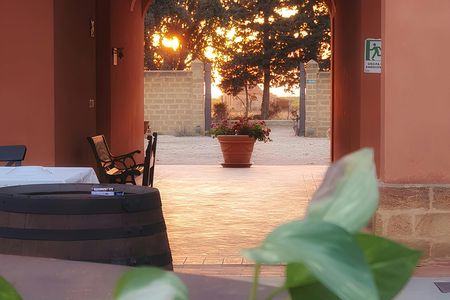 Grape picking and breakfast at the winery in Menfi