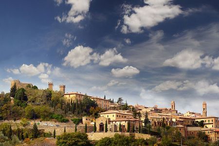 Wine Tasting Small Group Tour with Lunch in Brunello