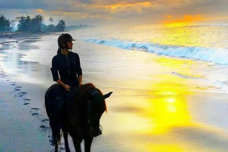 Bali horse riding experience and coffe plantation visit