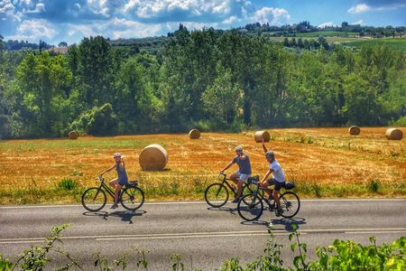 Tuscany Bike Tour through Chianti Hills with Wine Tasting