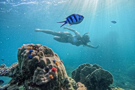 Koh Nangyuan and Hidden Bays Snorkeling Tour with Lunch from Kho Tao