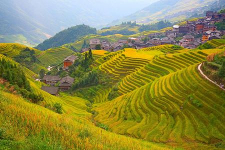 Guilin Private Tour to Longji Rice Terraces and Long Hair Village