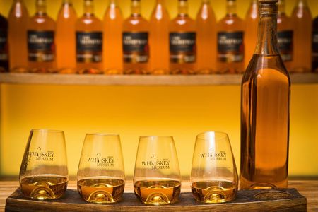 Irish Whiskey Museum Premium 1-Hour Tour and Tasting