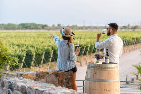 Mendoza Vineyards Tour with Wine Tasting