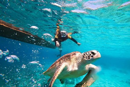 Snorkeling Tour from Gili Trawangan